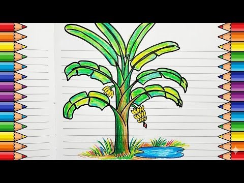 Banana Tree Drawing Easy 🌴 Learn Step by Step for Beginners