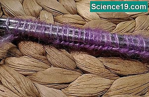 Kaip apskaičiuoti mėginio dydžio formulę 💫 Mokslinė Ir Populiarus Multimedijos Versija. 2025