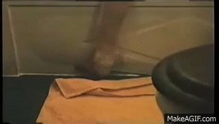 I Spit on Your Grave 1978 on Make a GIF