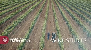 Our Wine Studies program has a new presentation video. Check out these beautiful images and the views from our beloved Shone Farm and learn more about what the program offers! | Santa Rosa Junior College