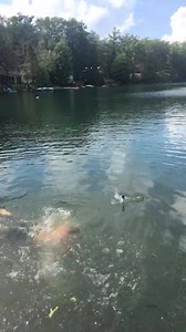 55K views · 558 reactions | You and me ain’t the only shitty golfers…check this out from @cboyle22 on Instagram. - T | Toby Keith | Facebook