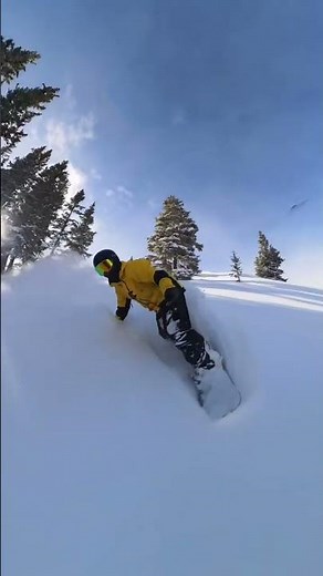 Snowboarding Powder Daily