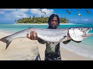 Explosive Barracuda Strike! Biggest Catch Epic Fishing