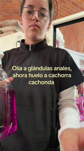 Shampoo para perros y perfumes: rutina diaria de una veterinaria