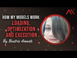 How my models work: Loading, optimization and execution