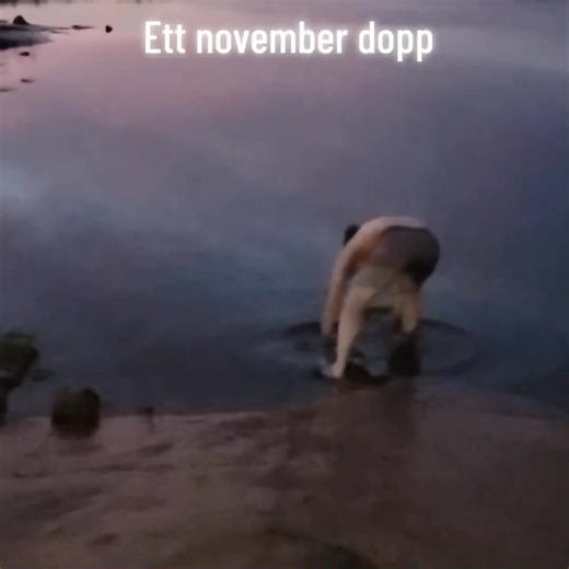 Glad farsdag alla farsor! #fyp #viral #farsdag #tiktok #acsenergy