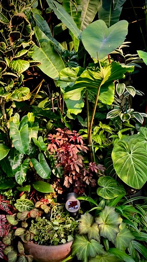 16K views · 1.1K reactions | The Art of More in Less: Maximising a...