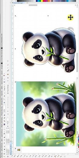 CORELDRAW REMOVE IMAGE BACKGROUND SUPER FAST 🚀 NEW REMOVE BACKGROUND TOOL
