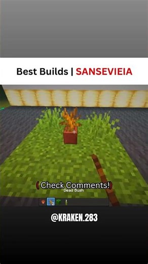 Best Builds | SANSEVIEIA