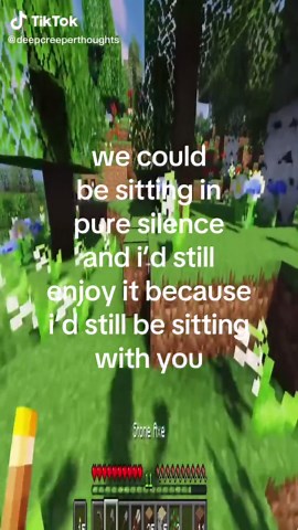 Enjoying Silences Together: A Minecraft Love Tribute