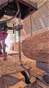 Awesome Industrial Saw Eating Giant Wood Logs #awesome #bigwood #cutting | Sawmill & Woodworking