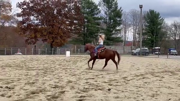 Gymkhana Fun 🍁🍂 | Cowgirl Up Ranch NY