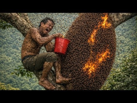 Would You Risk This for Honey | Wild Bee Hunting 2026