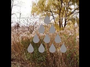 David Bowie Interviews the Secret Machines - 2006