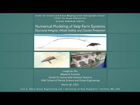 Numerical Modeling of Kelp Farm Systems: Structural Integrity, Whale Safety, and Coastal Protection