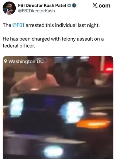 No Epstein files, but they’ll be releasing all the files on some dude who flimsily assaulted an officer with a sandwich. | Liberty ICT