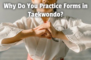 Why Do You Practice Forms in Taekwondo? | Dojo Life HQ