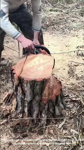Tree Stump to Chair! 🌳🪑 One Saw, Pure Woodworking Magic! 🤯 #CarpentrySkills #NatureArt #DIYGoals