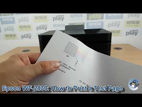 Epson WorkForce WF-2830: How to Print a Nozzle Check Test Page