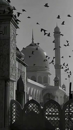 SUBSCRIBE ❤‍🩹❤‍🩹