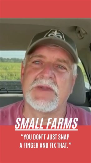 7.3K views · 245 reactions | Tariffs are destroying our farmers—and they blame Trump. | Signal USA | Facebook