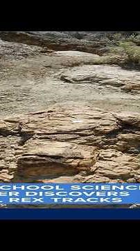 High school science teacher discovers rare T. Rex tracks
