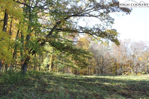 Tbd McNeill Rd, Lansing, NC 28617 - MLS 259512 - Coldwell Banker