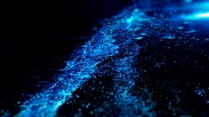 Dolphins Swimming Through Glowing Blue Bioluminescence At Night Looks Like An Alien Planet