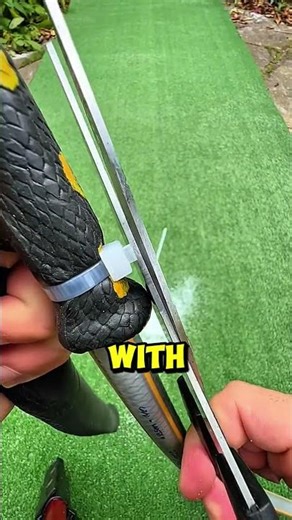 he fillied water insed rubber snake