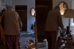 El tierno video de un bisabuelo y su bisnieta dando sus primeros pasos con un andador