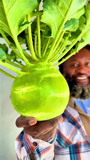 #garden #gardeningforbeginners #homegarden #homegardening #backyardgarden