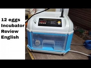 12 eggs household intelligent incubator review - English
