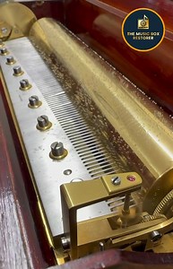 30K views · 1.6K reactions | Dear Followers, Wishing you all a very...