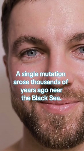 Most people with blue eyes are connected by one ancestor who lived near the Black Sea thousands of years ago. That’s where the genetic change that created blue eyes began — before that, most humans had brown eyes. Discover the story of your origins at myheritage.com | MyHeritage