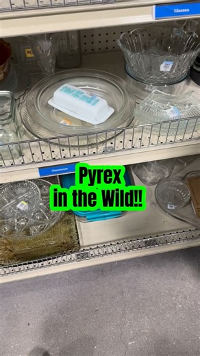 First time EVER scoring a Pyrex Butterprint butter dish in the wild!! You better believe I strutted through that thrift store like I’d just won a trophy! 🏆💙 Would you have grabbed this at 2.99 or left it for the next Pyrex Queen? #pyrex #thriftwithme #thrift #thrifted #thriftfinds | 2KewlVintage13