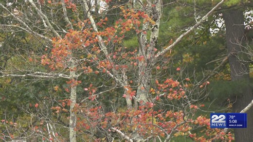Fall foliage season underway in western Massachusetts