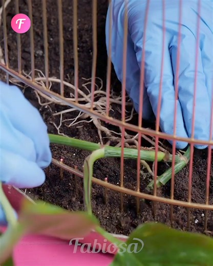 Kreative DIY-Ideen für Blumentöpfe | Fabiosa Fitness Deutschland