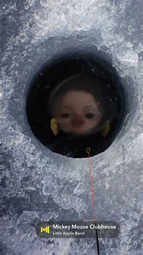 Misca musca #song #nostalgia