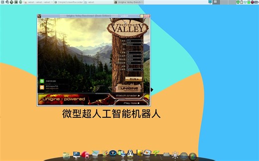 Unigine-Valley显卡测试