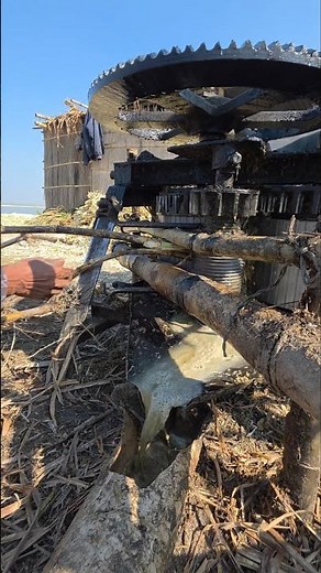 Process of making sugarcane molasses