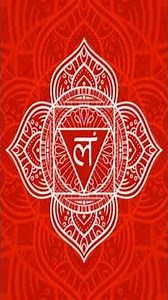 7 Chakra Crystal Tree 🌈 Powerful Energy Balancer for Healing, Positivity & Chakra Activation