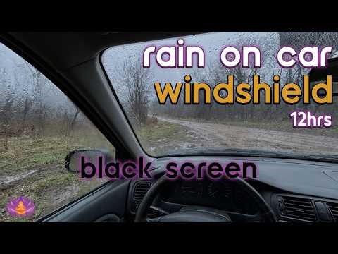 [Black Screen] Sleeping in Parked Car | Rain on Car Windshield – No Thunder | Sleep Rain Sounds