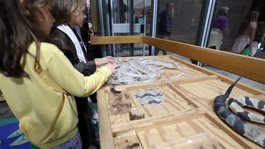 1.8K views · 3 comments |  Little Spooks, Big Fun: Swamp Haunted...