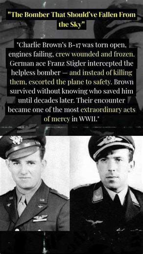 “The Bomber That Should Have Fallen From the Sky” — Brown & Stigler