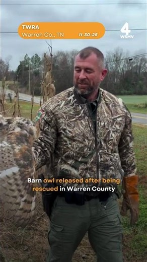 Barn owl released after being rescued in Warren County