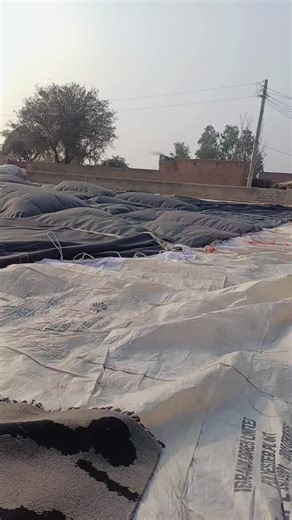 Exciting Makha Tent Series Completion Announcement