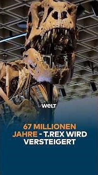 Der Tyrannosaurus rex „Gus“ kommt bei Sotheby’s in New York unter den Hammer