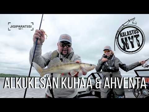 Alkukesän kuhaa ja ahventa | Kalastus NYT