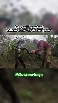 Luke and Tommy from ‪@OutdoorBoys‬ hunt pythons in the Florida Everglades. #hunt #outdoors