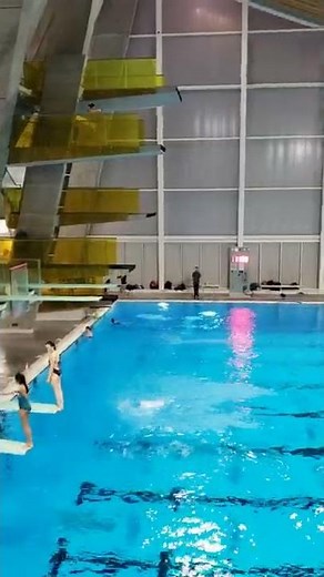105b Platform Diving Video